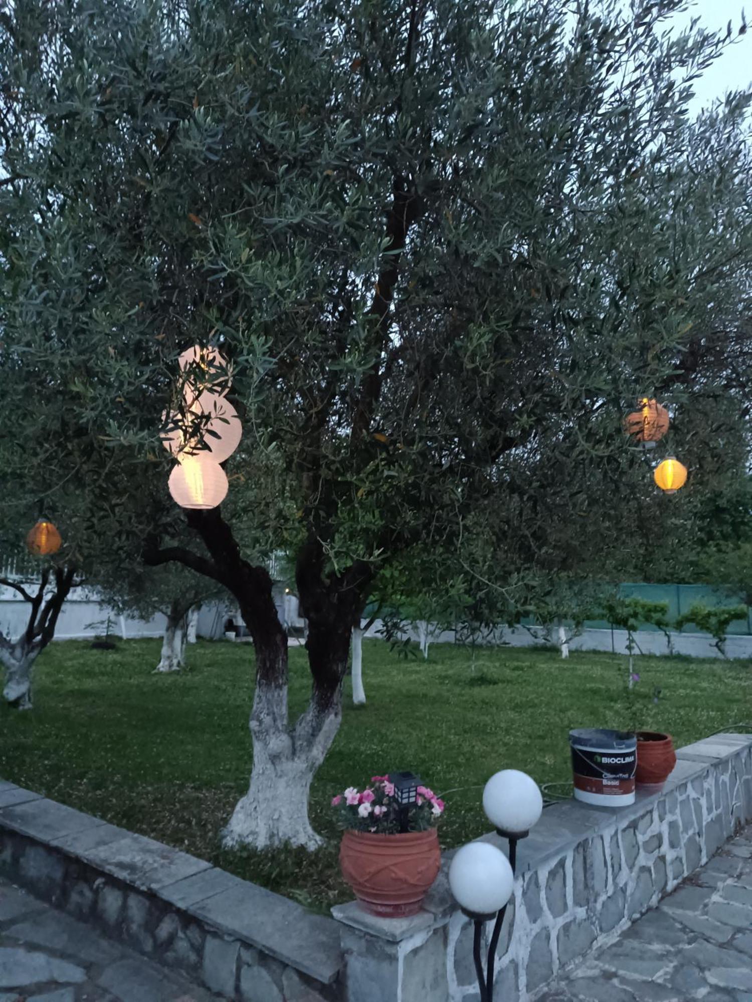 Pomegranate Tree House - Meteora Country house Kalambaka